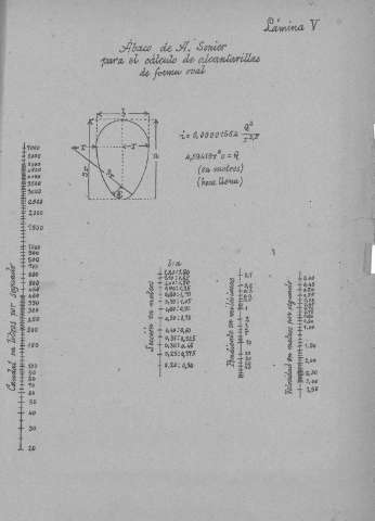 Lamina V