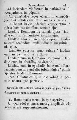 41