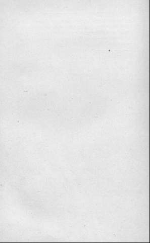 256