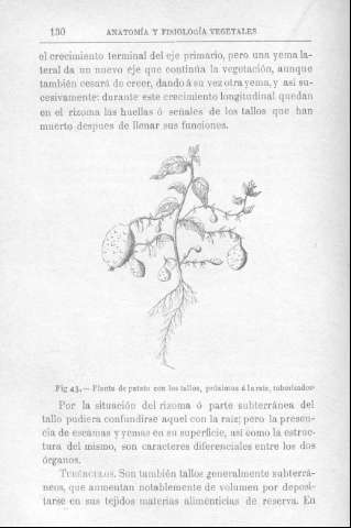 130