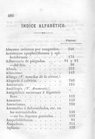 480