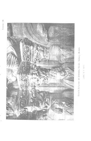 Lámina VII