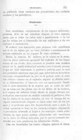 251