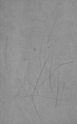 [Guarda]