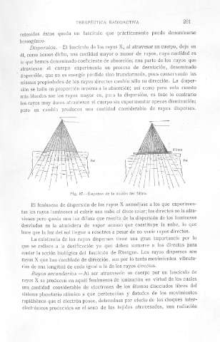 261