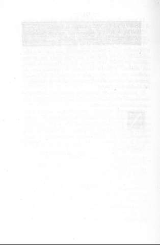 256