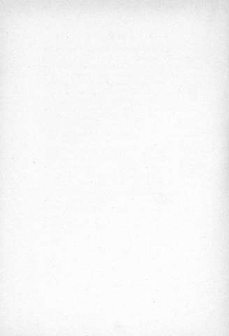 106