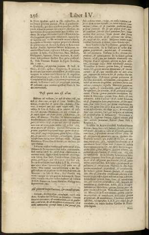 256