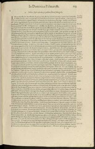 223
