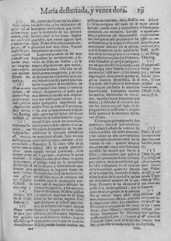 29