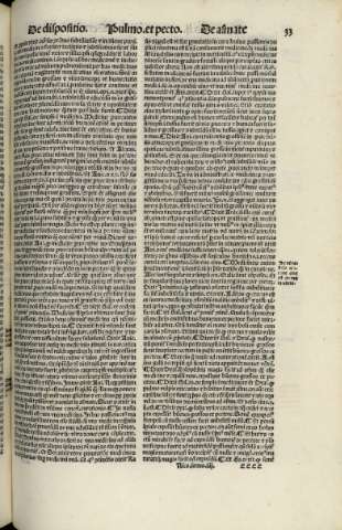 33 r