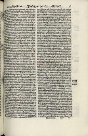36 r
