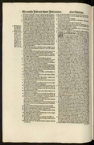 41v