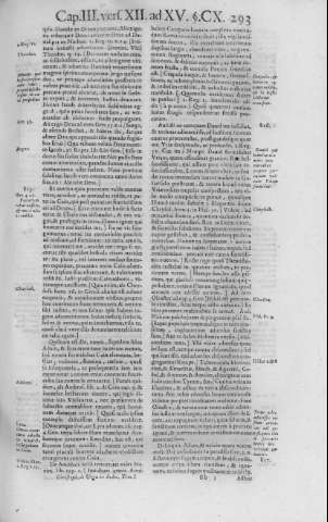 293