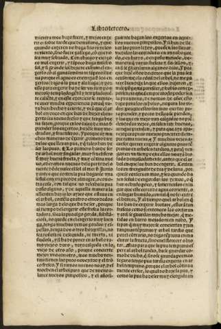 lxxvi v
