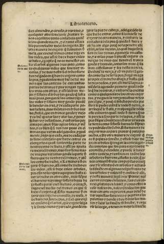 lxxviii v