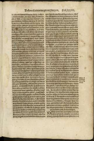lxxxvii r