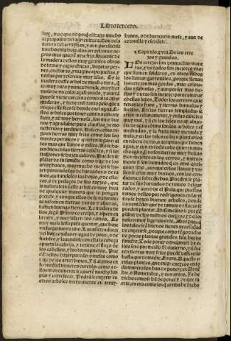 lxxxvii v
