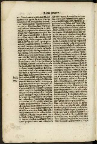 xcvii v
