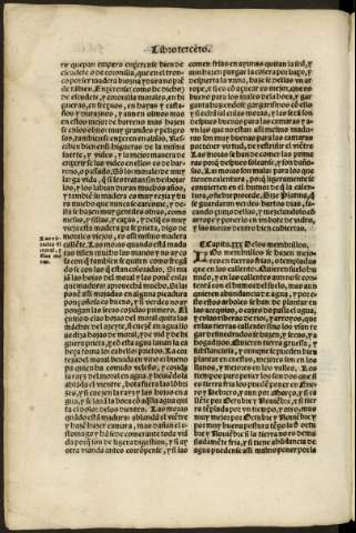 ciii v