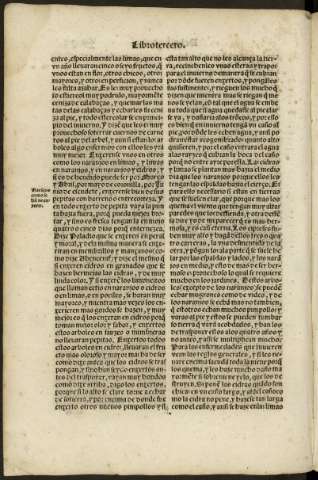 cvii v