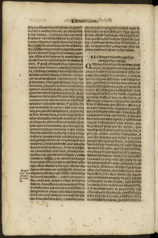 cxiii v