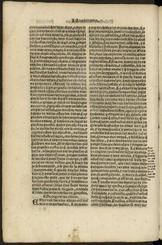 cxiv v