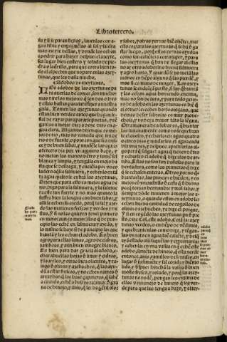 cxv v
