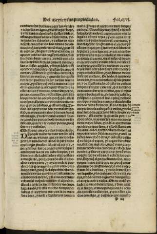 cxvi r