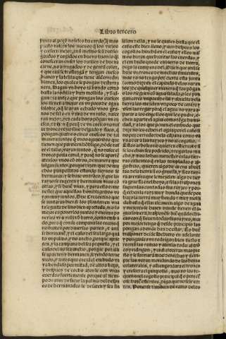 cxviii v