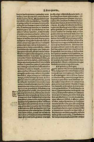 cxxxi v