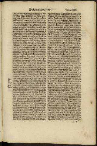 cxxxiii r