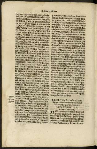 clxxxvi v