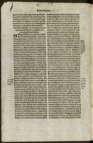 cci v