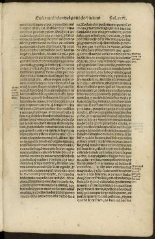 ccvi r