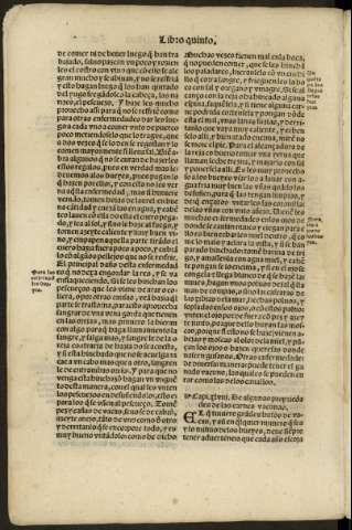 ccvi v