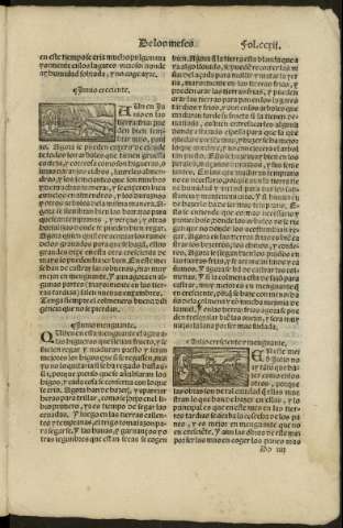 ccxii r