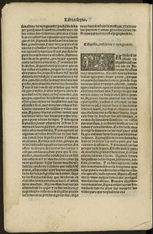 ccxii v