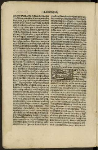 ccxiii v