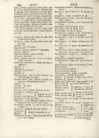 484