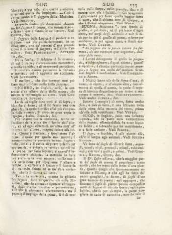 223