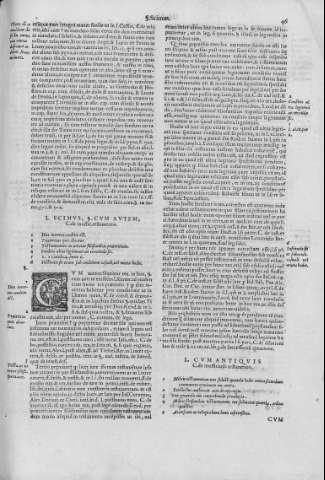 46