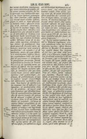 261