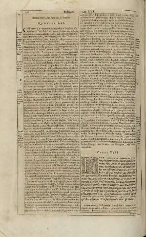 276