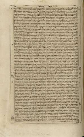 278