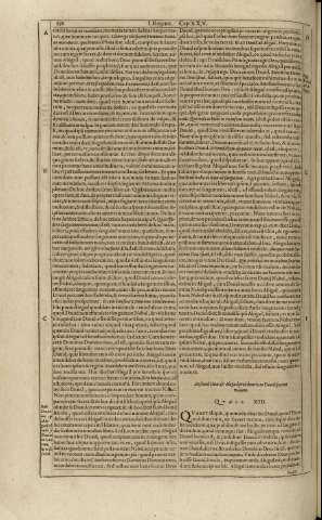 238