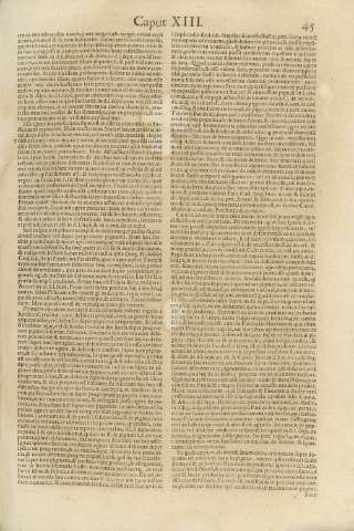 45