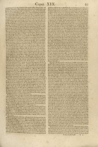 67