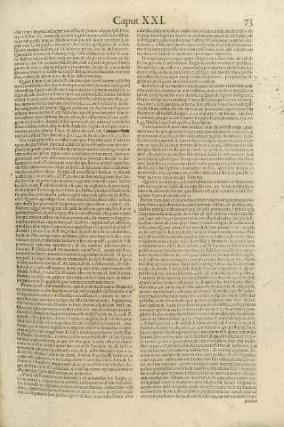 73