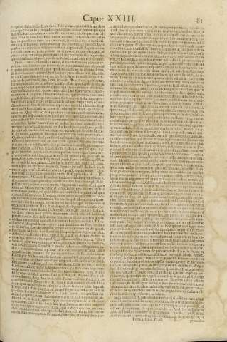81